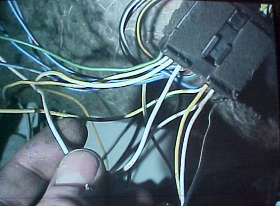 Eclipse Engine Wiring Harness Eclipse Get Free Image About Wiring